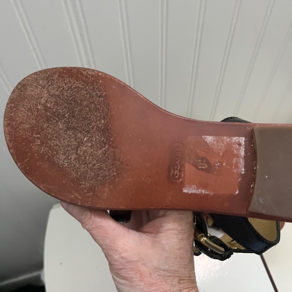 Coach - Picture 5 of 9